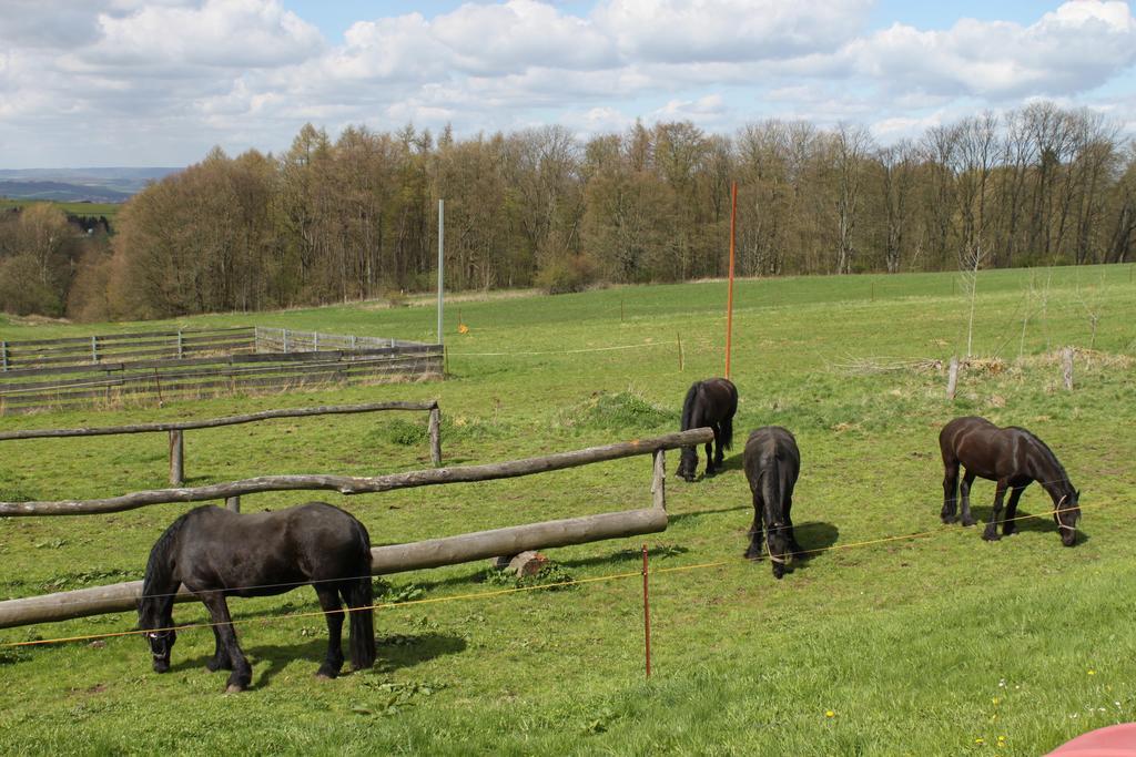 Appartamento Kutschergasthof Am Sonnenstein Esterno foto